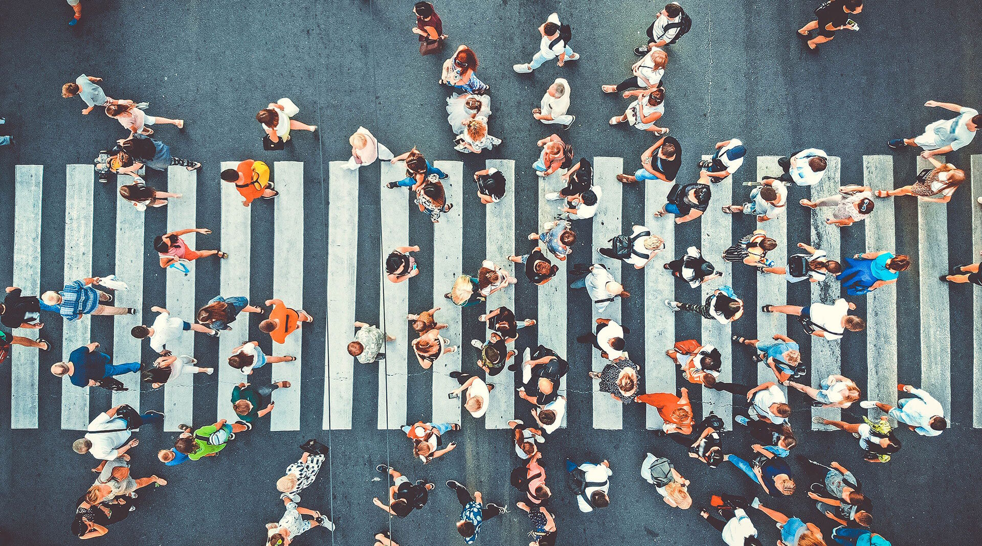 Programista aplikacji mobilnych — jaki zakres obowiązków?