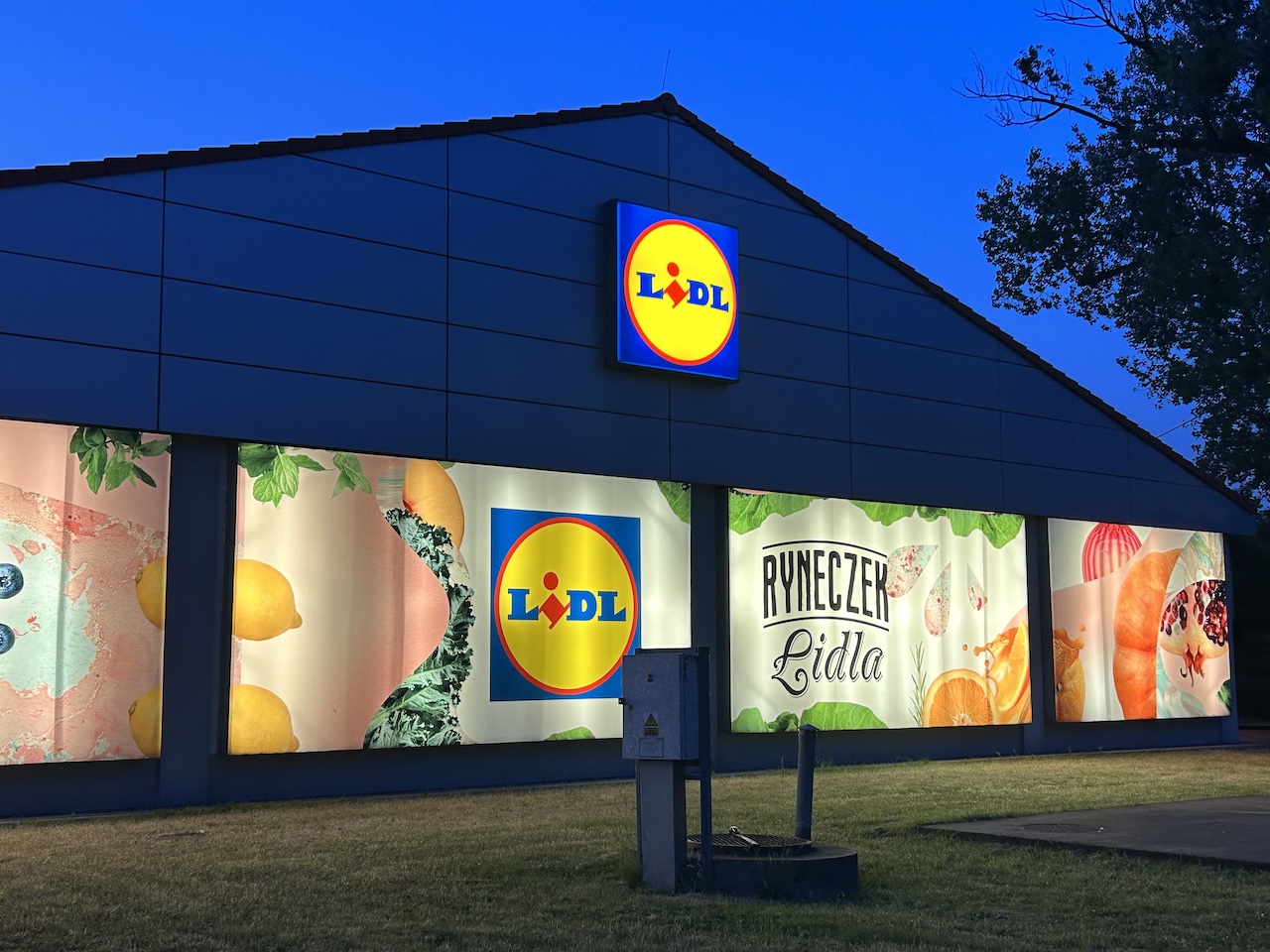 Lidl poszedł po rozum. Smartfon zamiast makulatury