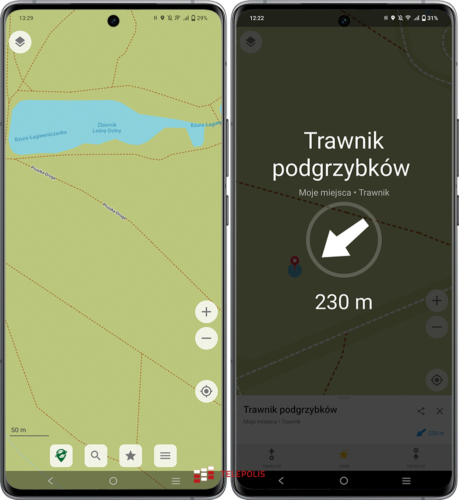 Moc grzybów na wyciągnięcie ręki. Zobacz jakie to łatwe
