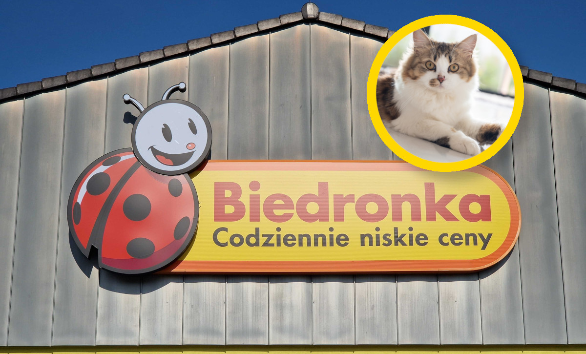 Biedronka odpala bombę. Tej marki tam jeszcze nie było