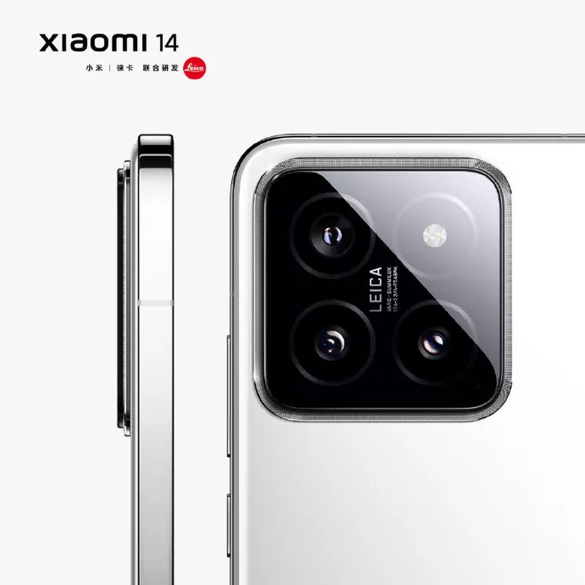 Xiaomi 14 paraduje na oficjalnych renderach. Wkrótce premiera