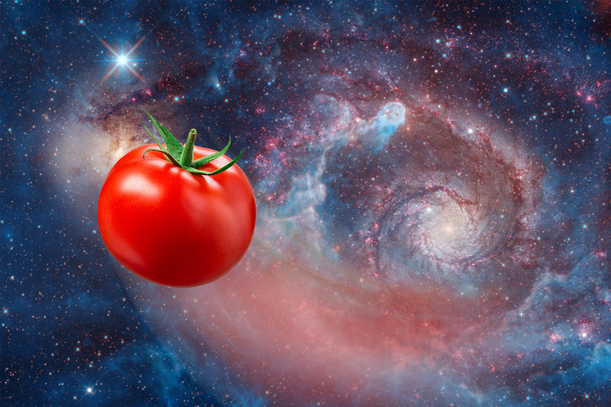 Kosmiczne jaja w rzeczywistości. Astronautom zaginął pomidor
