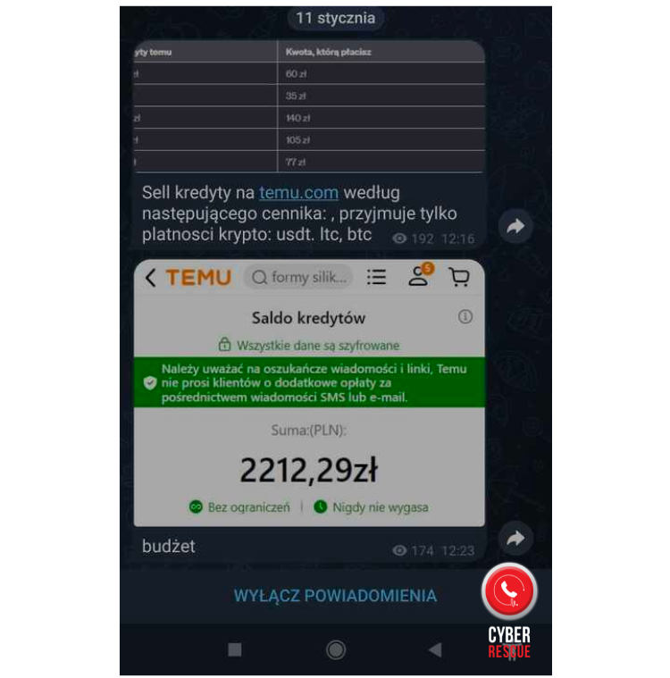 Tańsze zakupy na Temu? Eksperci ostrzegają przed przekrętem