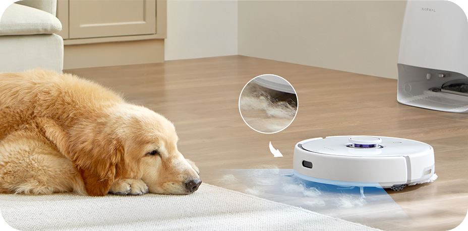 Narwal Freo i Freo X Ultra. Do Polski wchodzą nowe roboty sprzątające