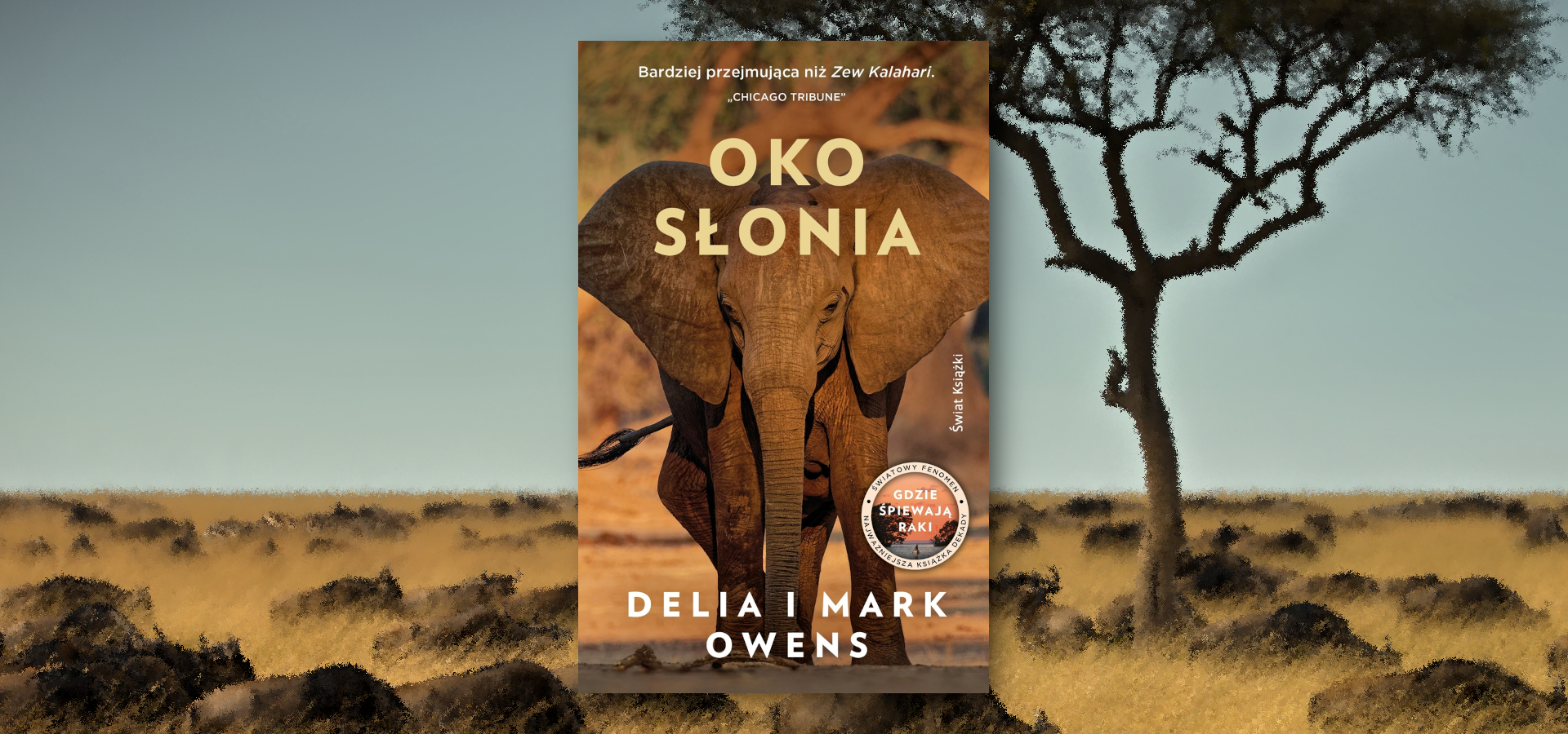 Książki, które zabiorą Cię w magiczną podróż poza granice codzienności