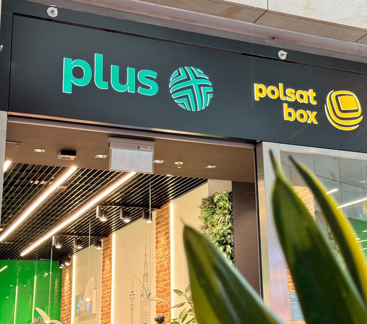 Plus daje 25 GB internetu za darmo. Wystarczy wejść do klubu