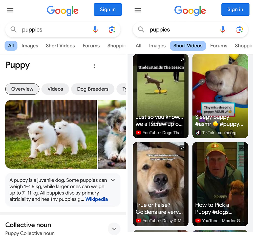 Google przekopie TikToka. Nadchodzi nowa funkcja