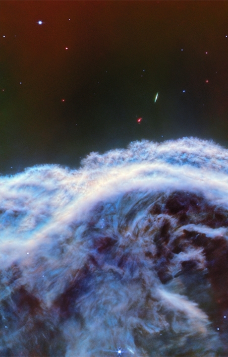 Koński Łeb w Kosmosie. NASA publikuje fantastyczne zdjęcia