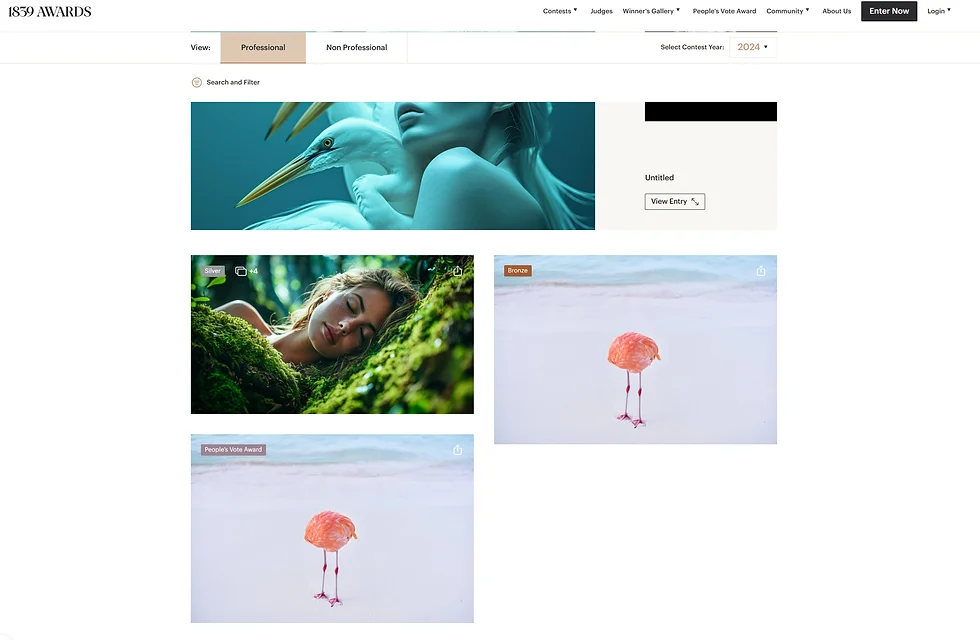 Jury konkursowe dało się nabrać. Oszustwo czy udany eksperyment?