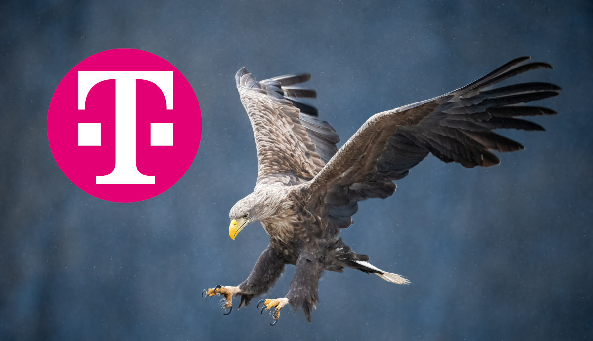 T-Mobile: loggery GPS na 8-tygodniowych pisklętach bielika
