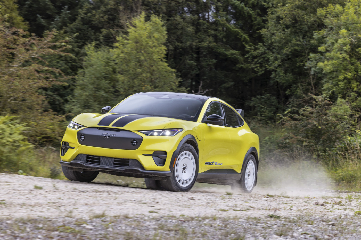 Ford oszalał. Oto elektryczny, rajdowy Mustang Mach-e