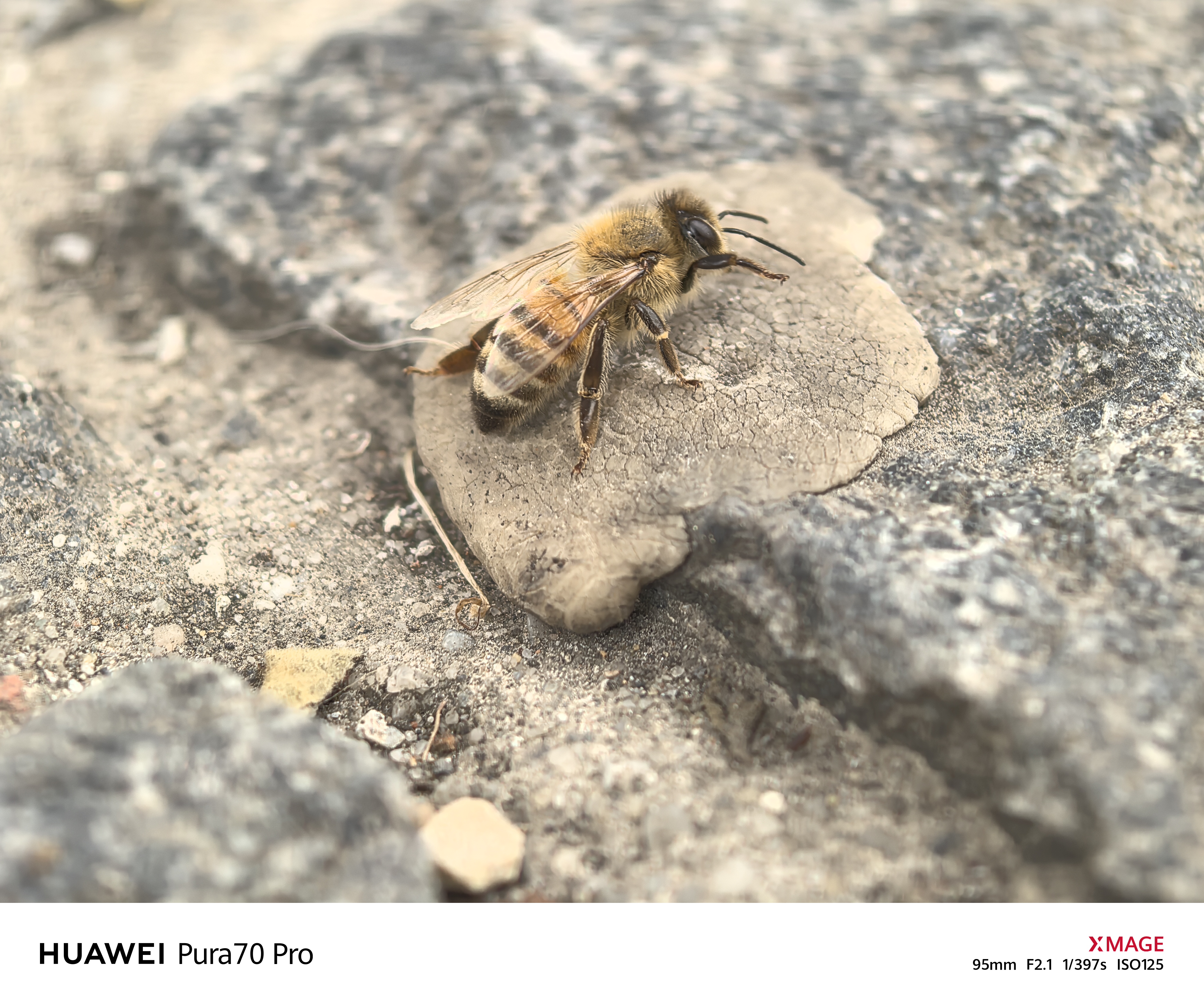 Jedyny aparat, którego potrzebujesz? Sprawdzamy Huawei Pura 70 Pro