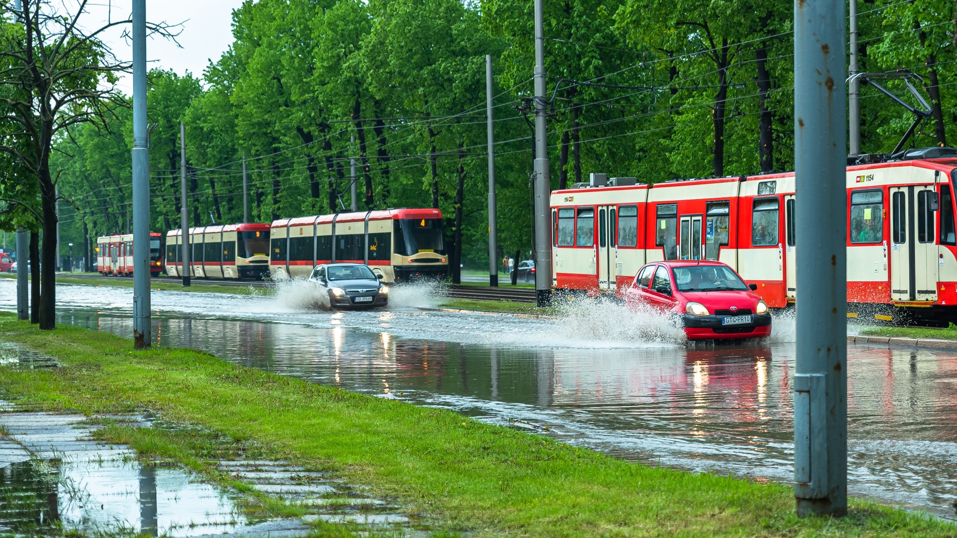 Uwielbiamy na to patrzeć. Naukowcy wiedzą czemu