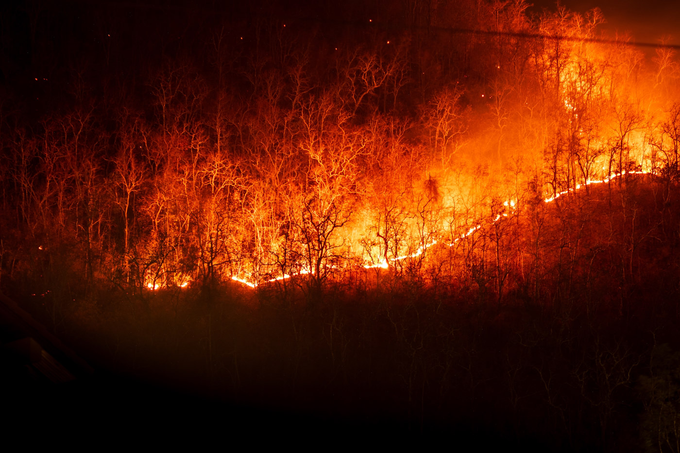 Przejmują się klimatem. Nie rozumieją, co robią nie tak