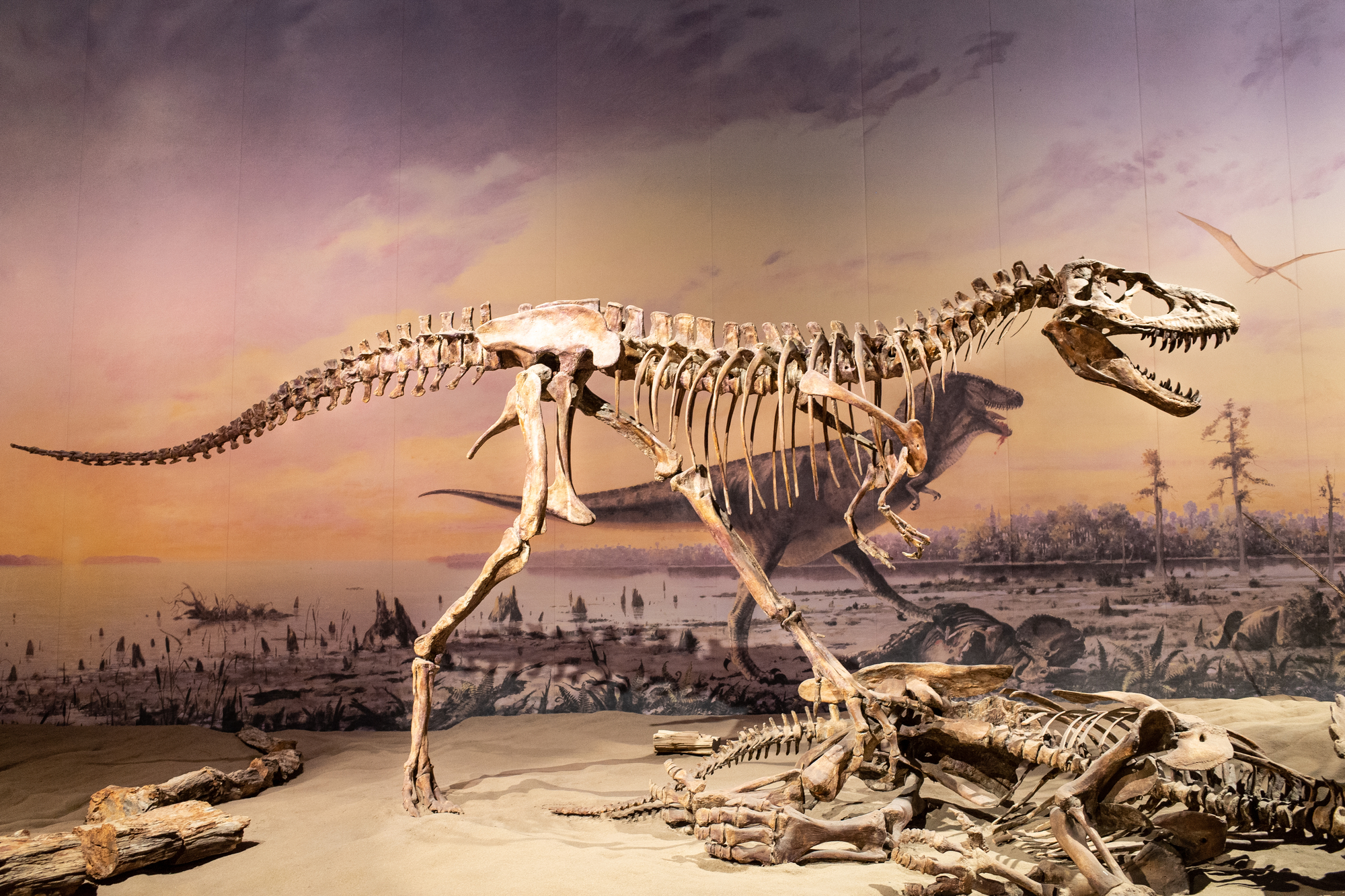 Jak wymarły dinozaury? Naukowcy mają nowe informacje