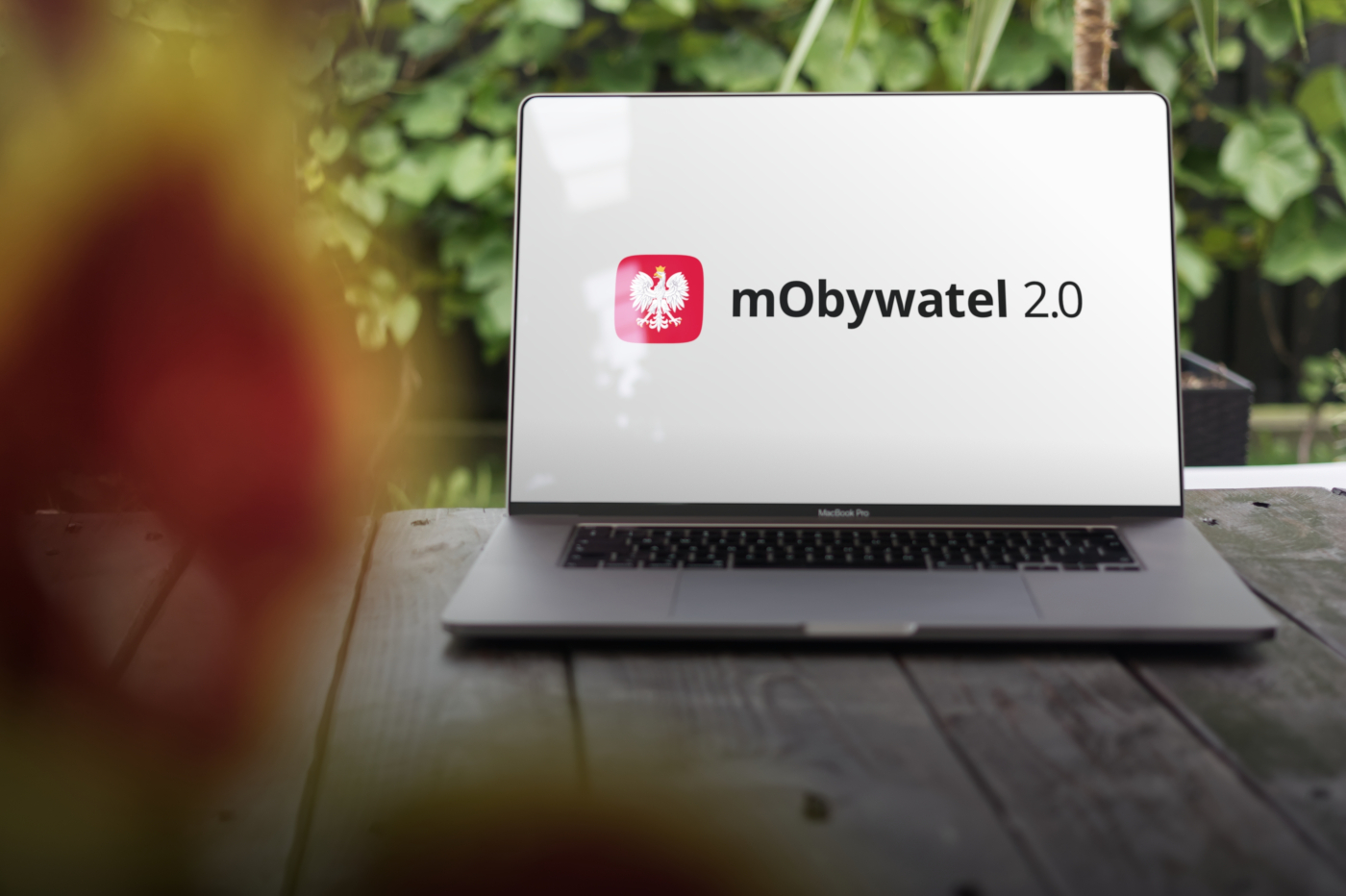 Ta funkcja w mObywatel przyda się grzybiarzom, ale nie tylko