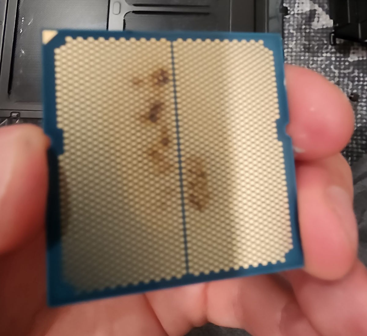Spalony AMD Ryzen 7 9800X3D. Sprawa jest tajemnicza