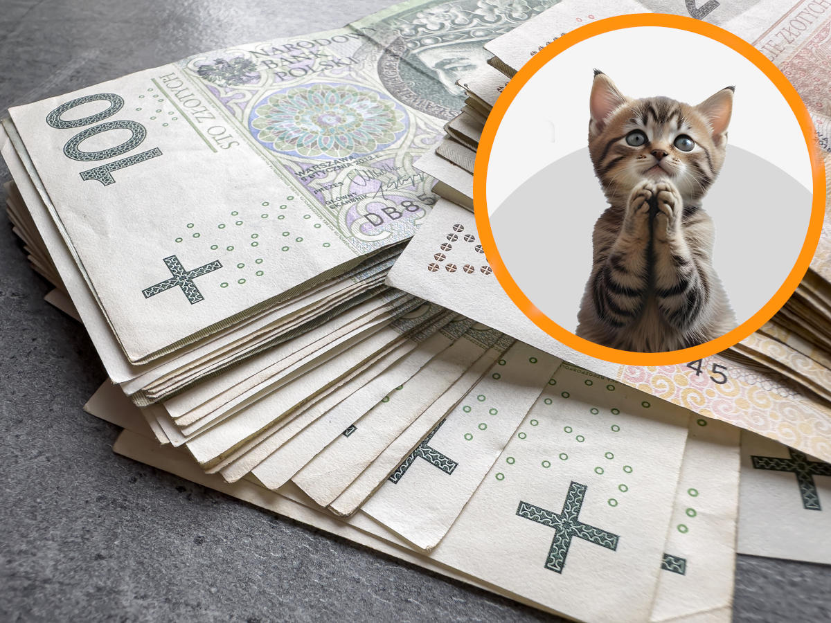 Serwisy zrzutkowe manipulują użytkownikami. UOKiK stawia poważne zarzuty