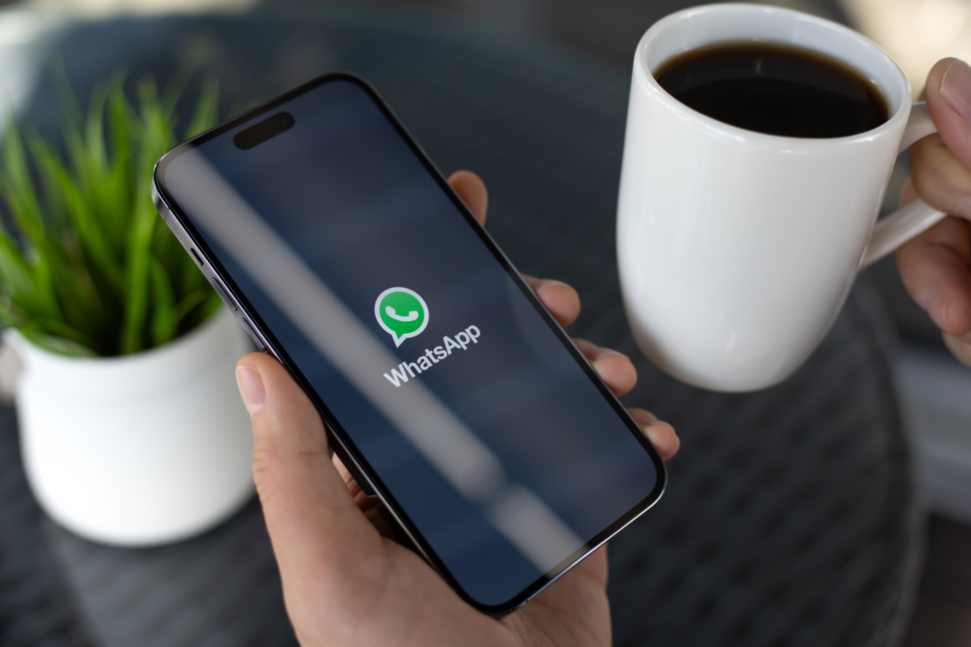 WhatsApp stawia na wygodę. Prościej być nie może
