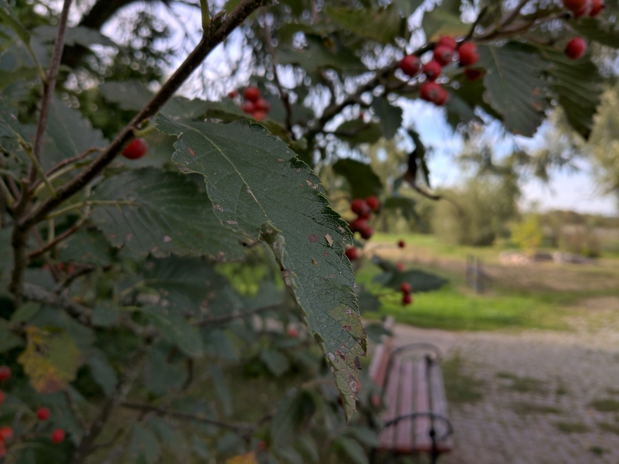 Nokia 9 to fotograficzna tragedia w przyjemnym smartfonie