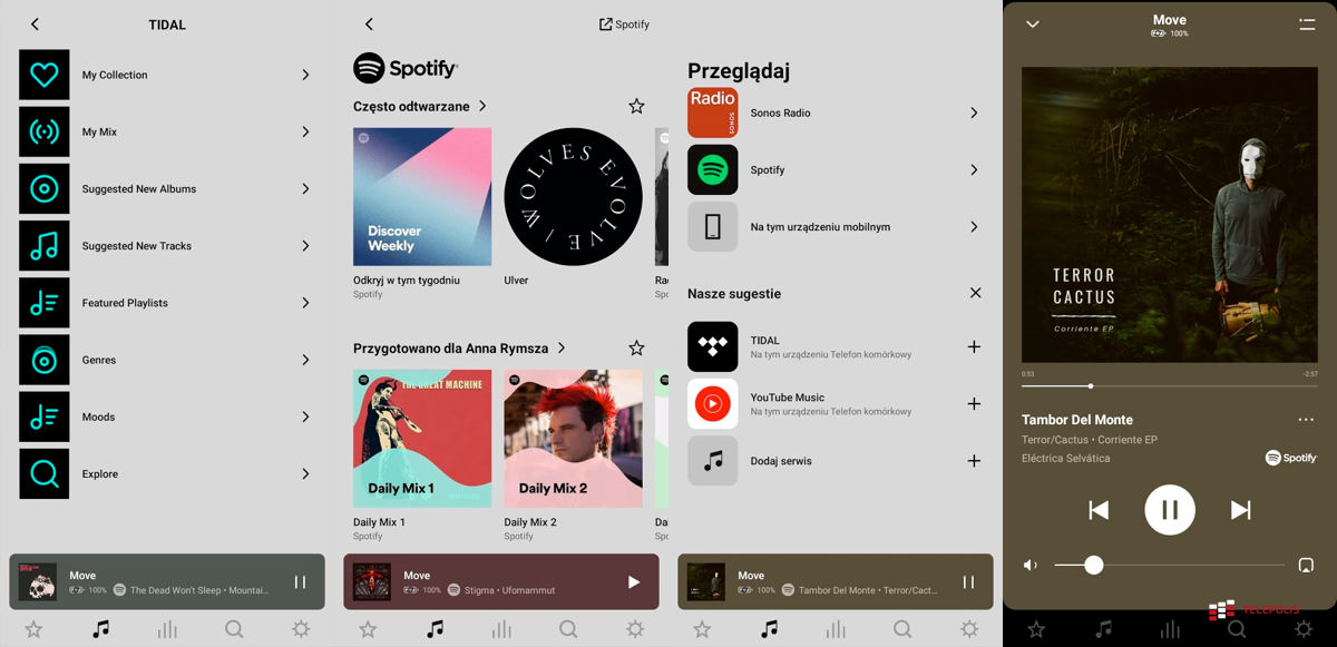 Sonos Move – przenośny głośnik rozrusza imprezę, ale nie poruszy serc