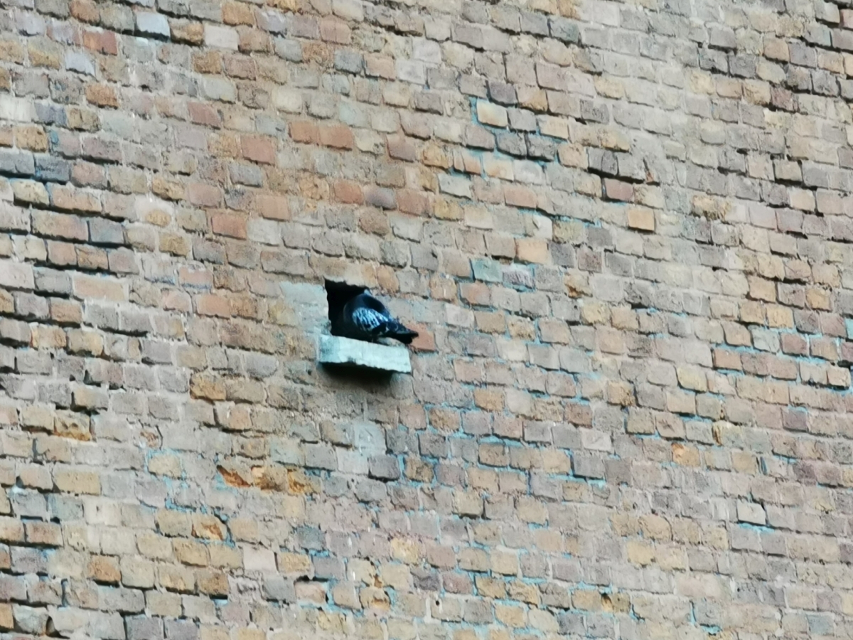 Huawei P30 Pro po 9 miesiącach użytkowania nadal zachwyca