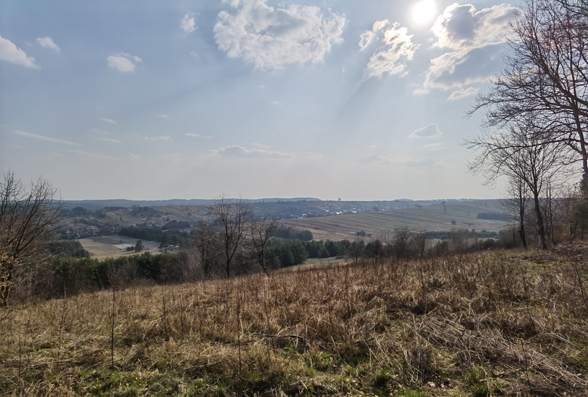 Huawei P40 Pro – daj się porwać fotografii