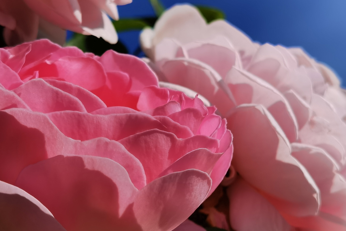 Witaj Huawei P40 Pro+, żegnaj lustrzanko!