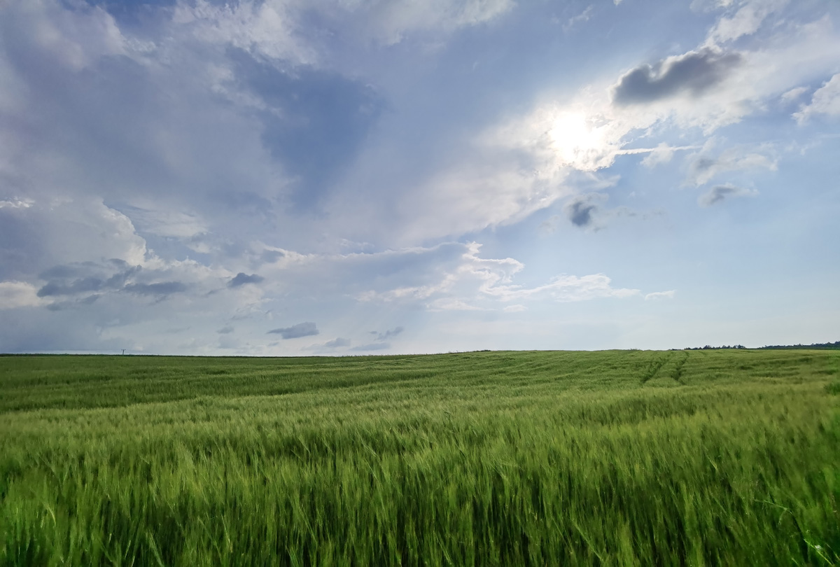 Witaj Huawei P40 Pro+, żegnaj lustrzanko!