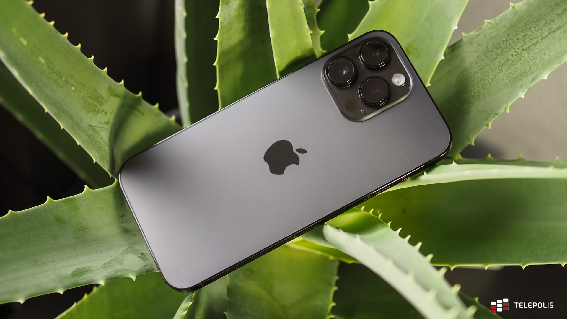 iPhone 14 Pro Max oczami ortodoksyjnego androidziarza. Zauroczył mnie