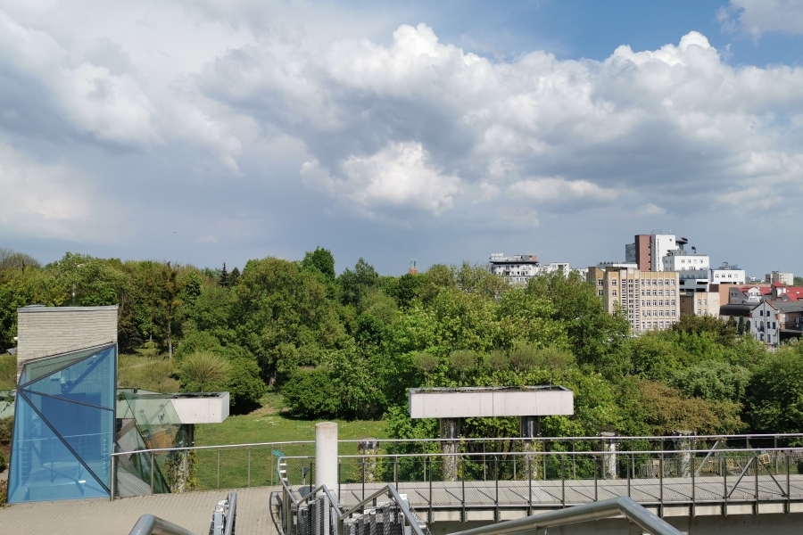 Jak dobry aparat ma Huawei P30 Pro? Porównujemy zoom i jakość zdjęć z Lumixem FZ1000