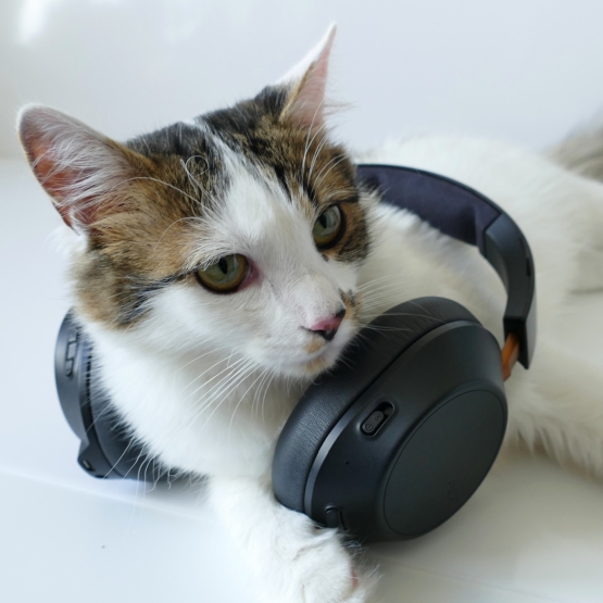 Test słuchawek Plantronics BackBeat Go 810. Asystent Google, dobre brzmienie i długi czas działania