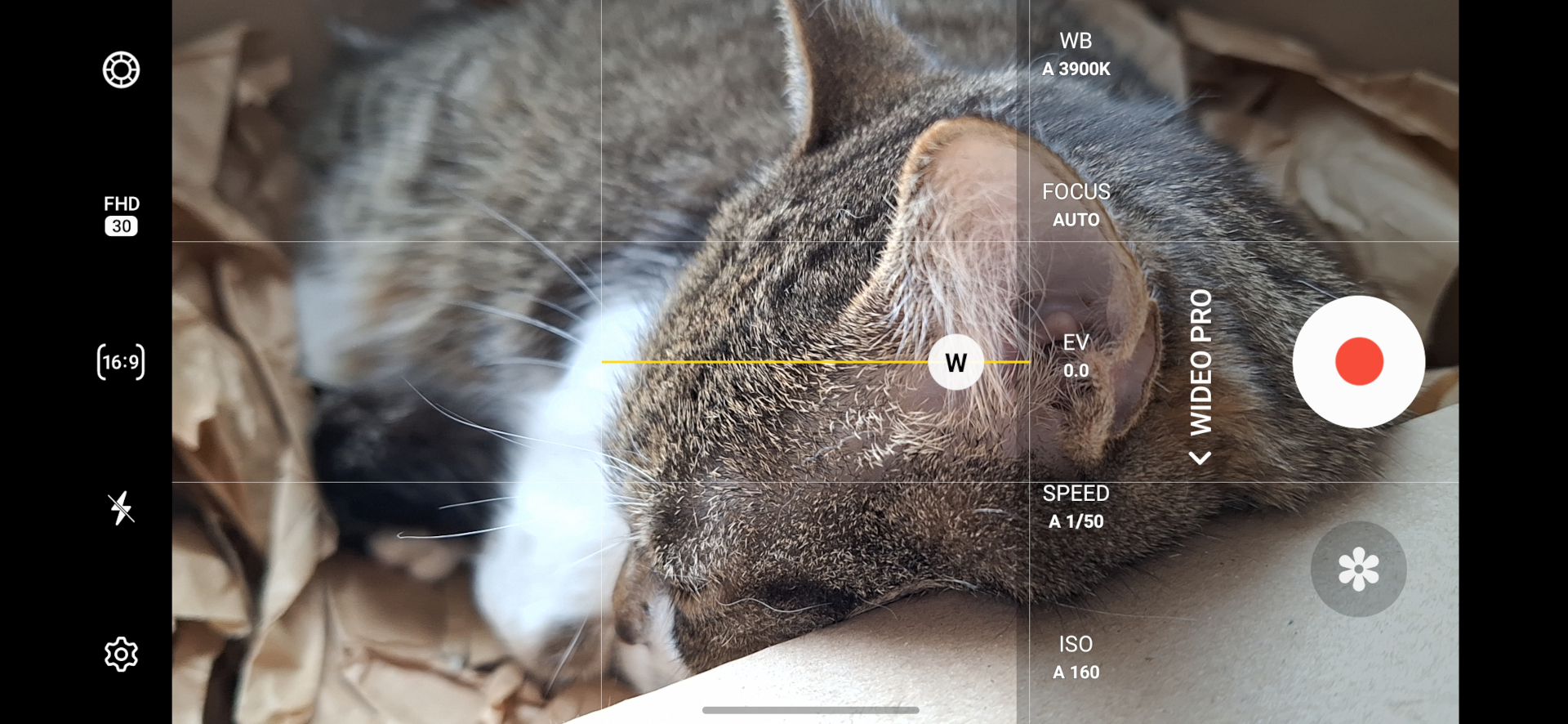Samsung Galaxy A54 – tak dobry, że aż nie wiem, co napisać (test)