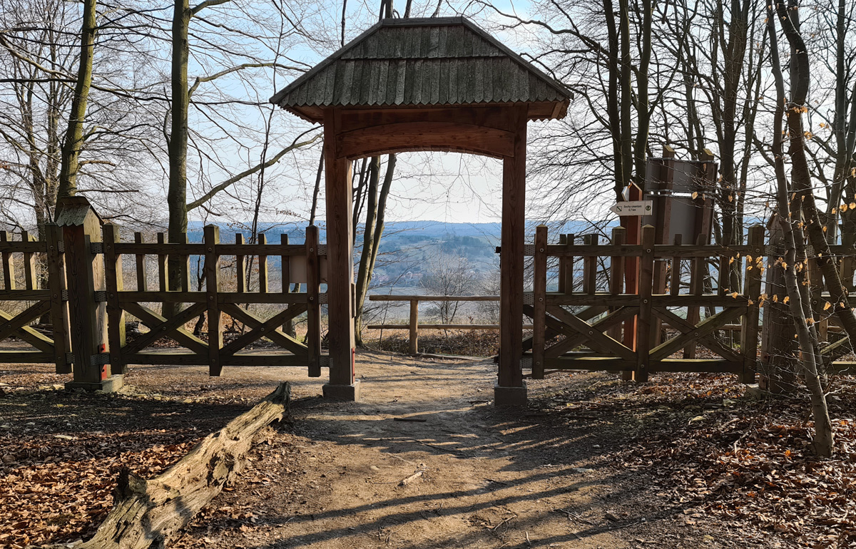 Test Samsung Galaxy S20 Ultra 5G po 3 miesiącach użytkowania