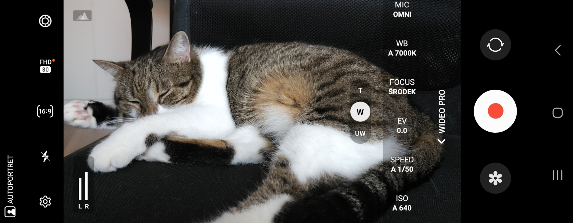 Samsung Galaxy Fold 5 – test. Telefon dla świra