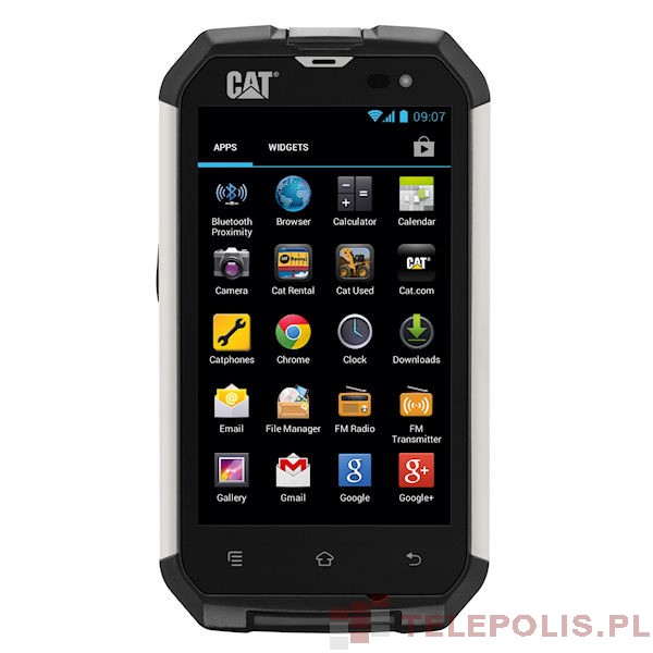 Cat B15