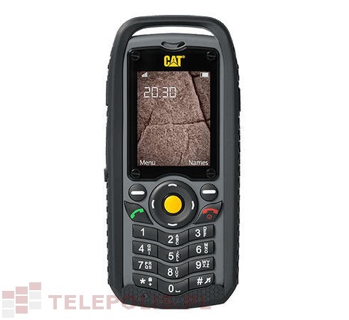 Cat B25