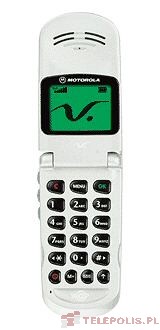 Motorola V50