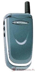Motorola V51