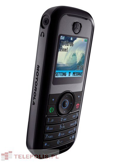 Motorola W205