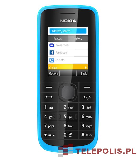 Nokia 113