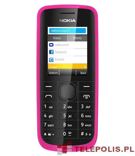 Nokia 113