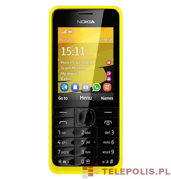 Nokia 301