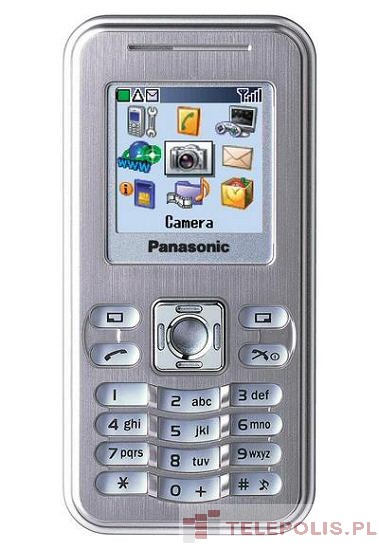 Panasonic X100