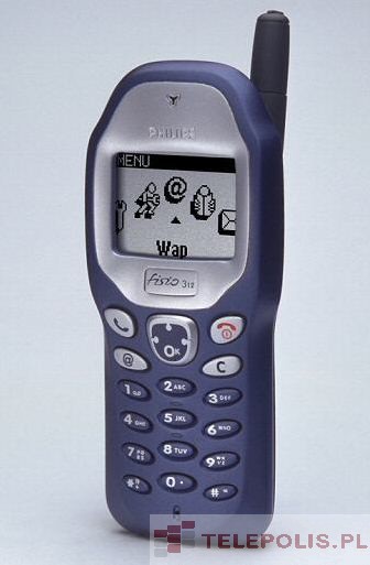 Philips Fisio 312