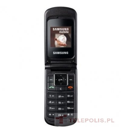Samsung SGH-B300