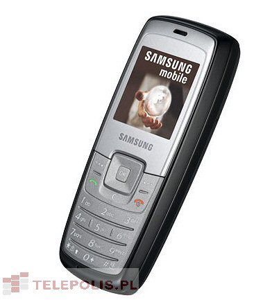 Samsung SGH-C140