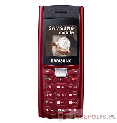Samsung SGH-C170