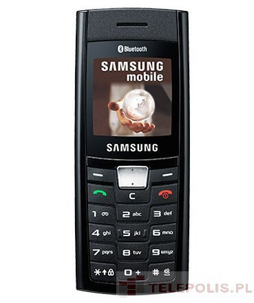 Samsung SGH-C180