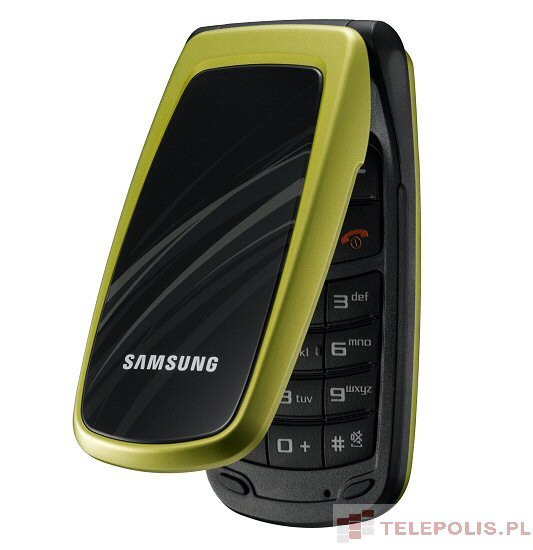 Samsung SGH-C250